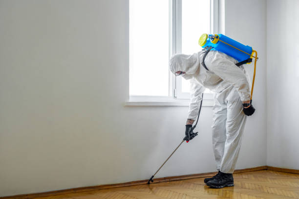 Professional Pest control in Lagrange, OH